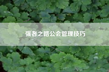 强者之路公会管理技巧  第1张