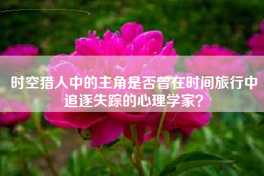 时空猎人中的主角是否曾在时间旅行中追逐失踪的心理学家？  第1张