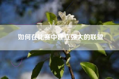 如何在比赛中建立强大的联盟  第1张