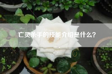 亡灵杀手的技能介绍是什么？  第1张