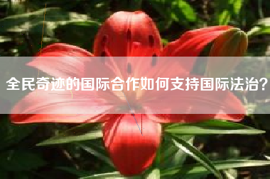 全民奇迹的国际合作如何支持国际法治？  第1张