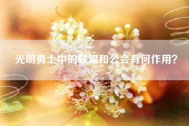 光明勇士中的联盟和公会有何作用？  第1张