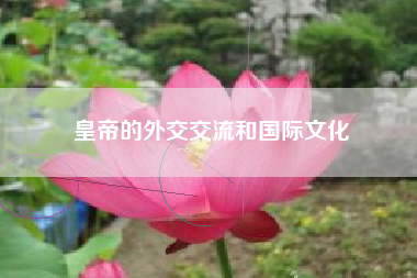 皇帝的外交交流和国际文化  第1张