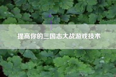 提高你的三国志大战游戏技术  第1张
