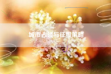 城市占领与征服策略  第1张
