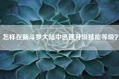 怎样在新斗罗大陆中迅速升级技能等级？  第1张