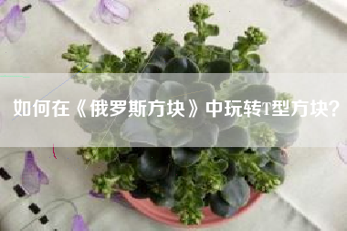 如何在《俄罗斯方块》中玩转T型方块？  第1张
