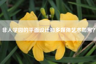 非人学园的平面设计和多媒体艺术如何？  第1张