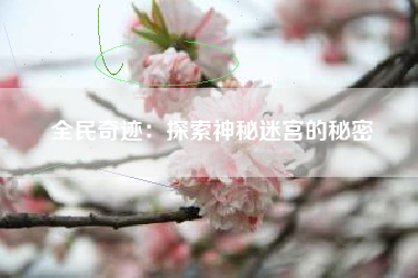 全民奇迹：探索神秘迷宫的秘密  第1张