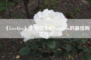 《LoveLive！》游戏中的LoveGem的最佳购买方式  第1张