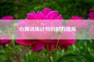 心舞训练计划的耐力提高  第1张