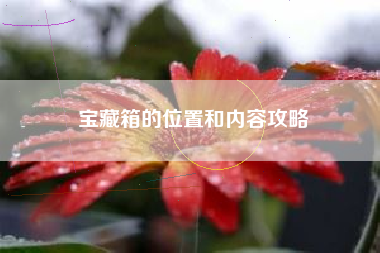 宝藏箱的位置和内容攻略  第1张