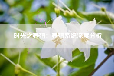 时光之养殖：养殖系统深度分析  第1张