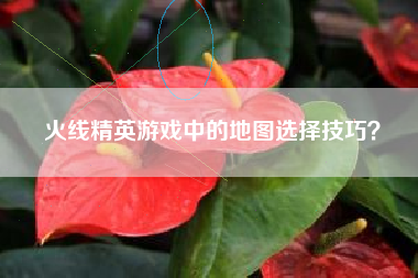 火线精英游戏中的地图选择技巧？  第1张
