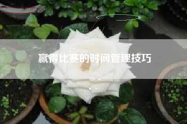 赢得比赛的时间管理技巧  第1张