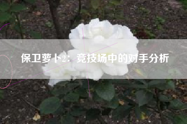 保卫萝卜2：竞技场中的对手分析  第1张