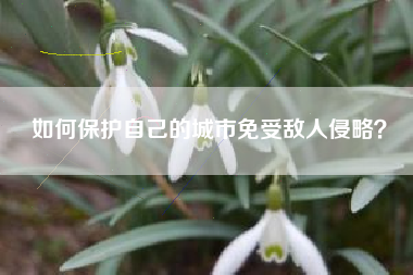 如何保护自己的城市免受敌人侵略？  第1张