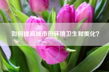 如何提高城市的环境卫生和美化？  第1张
