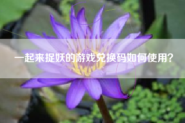 一起来捉妖的游戏兑换码如何使用？  第1张