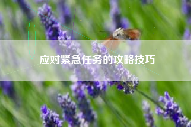 应对紧急任务的攻略技巧  第1张