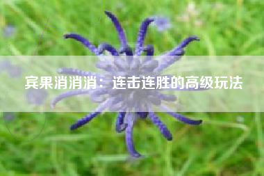 宾果消消消：连击连胜的高级玩法  第1张