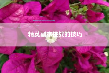 精英副本挑战的技巧  第1张