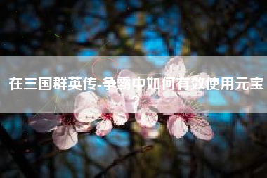 在三国群英传-争霸中如何有效使用元宝？  第1张
