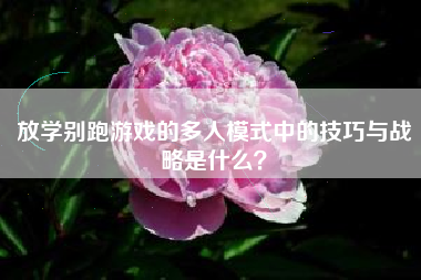 放学别跑游戏的多人模式中的技巧与战略是什么？  第1张