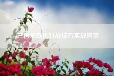 三国杀联机对战技巧实战演示  第1张