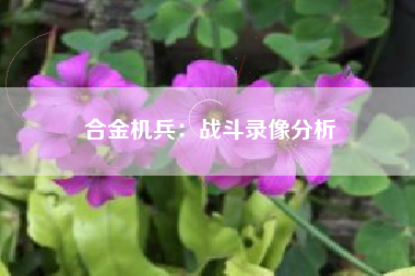 合金机兵：战斗录像分析  第1张