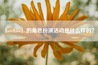 LoveLive！的角色扮演活动是什么样的？  第1张