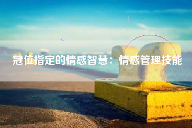 冠位指定的情感智慧：情感管理技能  第1张