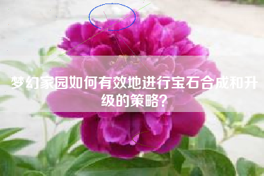 梦幻家园如何有效地进行宝石合成和升级的策略？  第1张