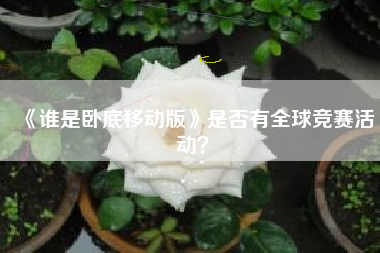 《谁是卧底移动版》是否有全球竞赛活动？  第1张
