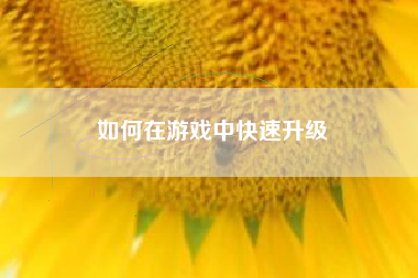 如何在游戏中快速升级  第1张