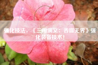 强化技法，《三国演义：吞噬无界》强化装备技术！  第1张