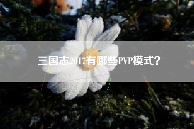 三国志2017有哪些PVP模式？  第1张