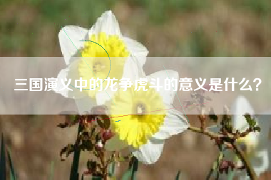 三国演义中的龙争虎斗的意义是什么？  第1张
