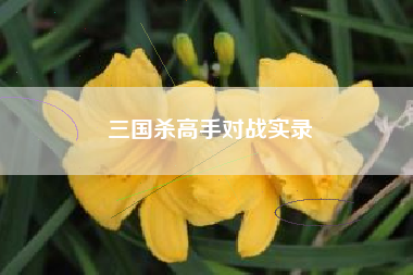 三国杀高手对战实录  第1张