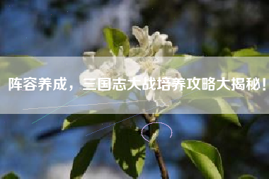 阵容养成，三国志大战培养攻略大揭秘！  第1张