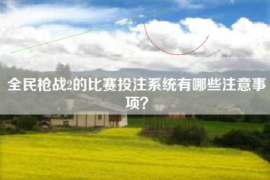 全民枪战2的比赛投注系统有哪些注意事项？  第1张