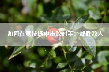 如何在竞技场中击败对手：战胜敌人  第1张