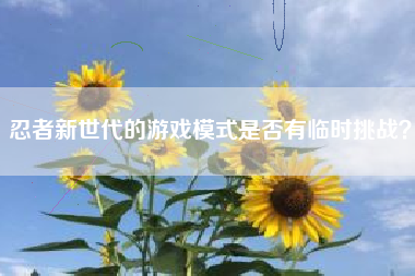 忍者新世代的游戏模式是否有临时挑战？  第1张