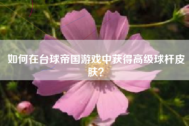 如何在台球帝国游戏中获得高级球杆皮肤？  第1张