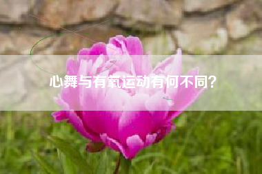 心舞与有氧运动有何不同？  第1张