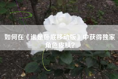 如何在《谁是卧底移动版》中获得独家角色皮肤？  第1张