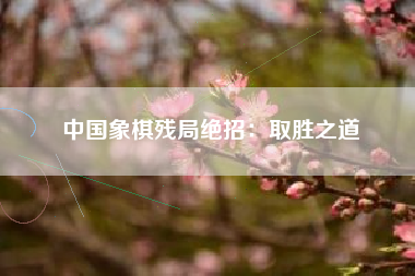 中国象棋残局绝招：取胜之道  第1张