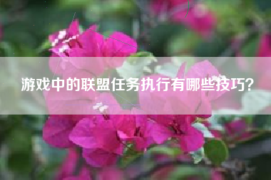 游戏中的联盟任务执行有哪些技巧？  第1张