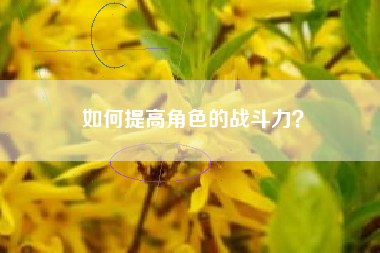 如何提高角色的战斗力？  第1张