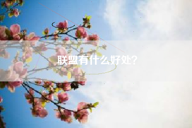 联盟有什么好处？  第1张